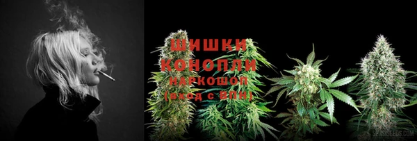 гидропоника Няндома