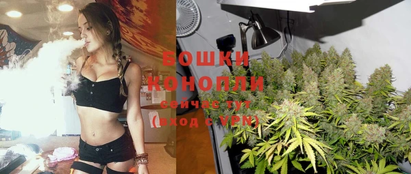 гидропоника Няндома