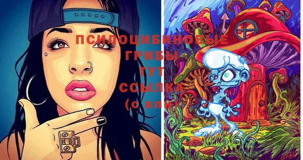 PSILOCYBIN Нязепетровск