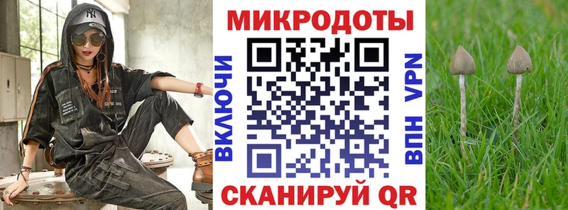 Купить  Сретенск  Псилоцибиновые грибы MAGIC MUSHROOMS 